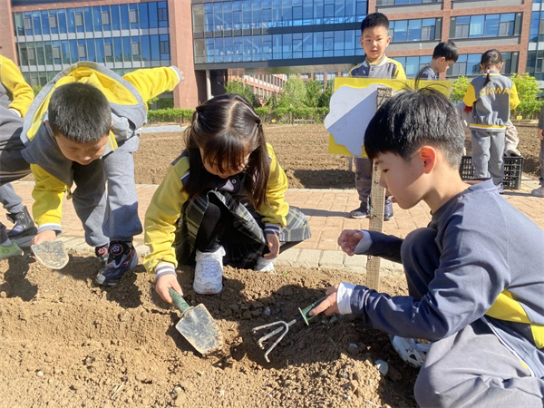 朝陽凱文學前班課堂體驗