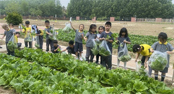 朝陽凱文學前班課堂體驗