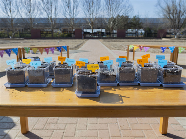 朝陽凱文學前班課堂體驗