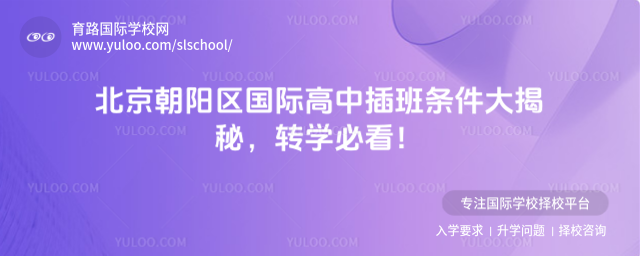 北京朝陽區(qū)國際高中插班條件大揭秘,轉(zhuǎn)學(xué)必看!