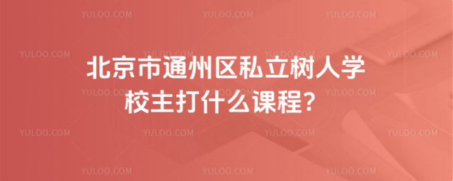 北京市通州區(qū)私立樹(shù)人學(xué)校主打什么課程