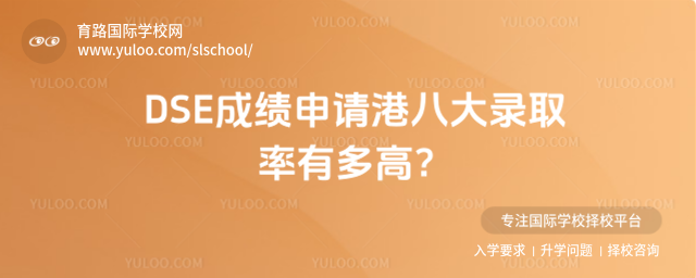 DSE成績申請港八大錄取率有多高