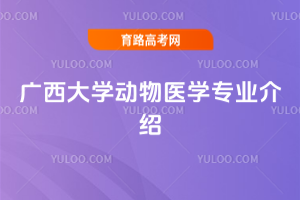 VW(xu)(dng)t(y)W(xu)I(y)B