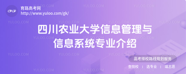 四川農業大學信息管理與信息系統專業介紹