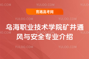 I(y)g(sh)W(xu)ԺVͨL(fng)cȫI(y)B