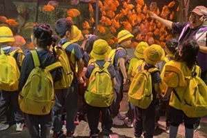 朝陽凱文學前班課堂體驗,入班享超值優惠!