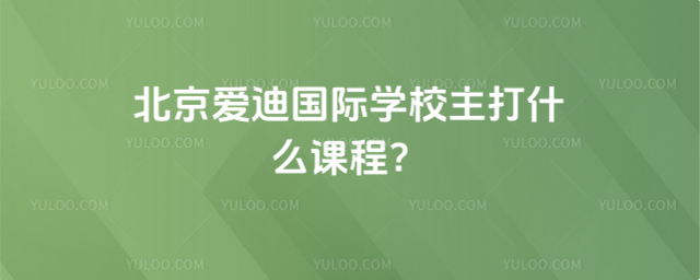 北京愛迪國際學校主打什么課程