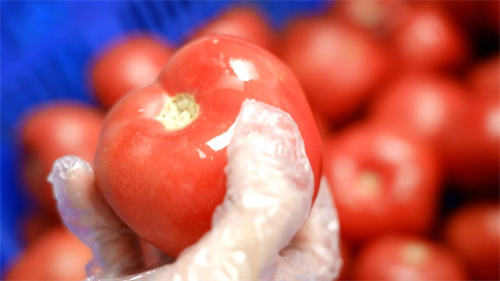 天津法耀高級(jí)中學(xué)食品安全g