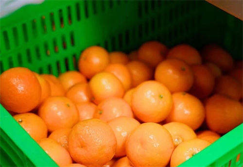 天津法耀高級(jí)中學(xué)食品安全