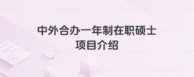 中外合辦一年制在職碩士項目介紹