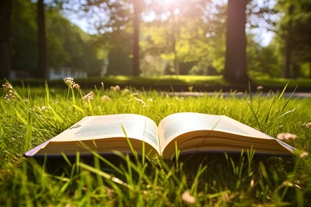 天津武清區私立小學有學籍嗎