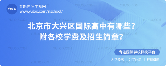 2026年北京市大興區國際高中有哪些