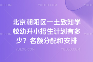 北京朝陽區一土致知學校幼升小招生計劃有多少?名額分配和安排