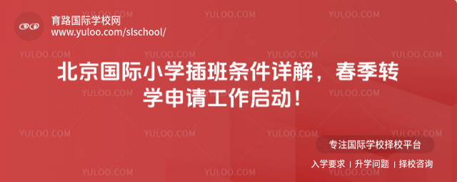 北京國(guó)際小學(xué)插班條件詳解,春季轉(zhuǎn)學(xué)申請(qǐng)工作啟動(dòng)!