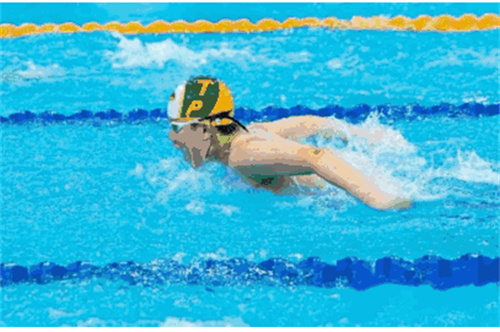 朝陽凱文游泳校隊